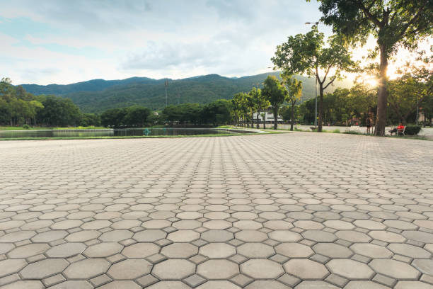 Best Decorative Driveway Pavers  in Herscher, IL